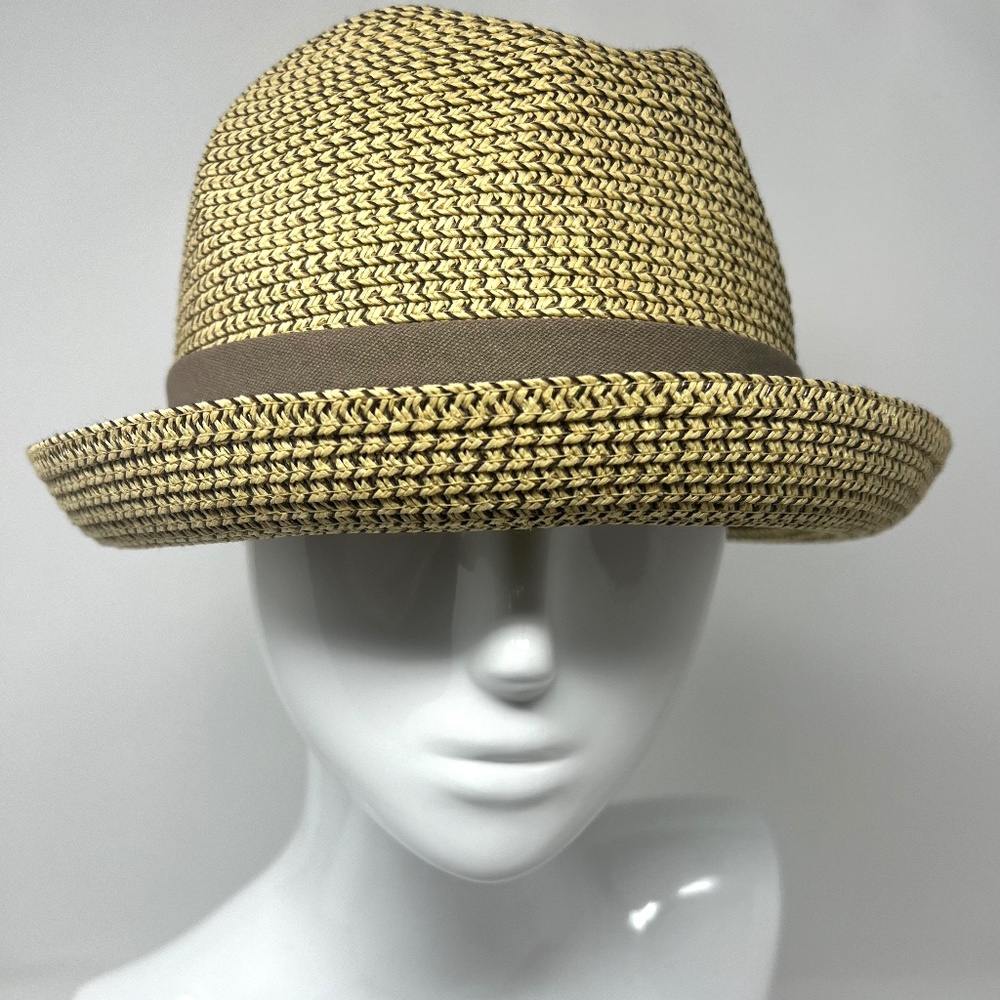 Fedora Style Hat